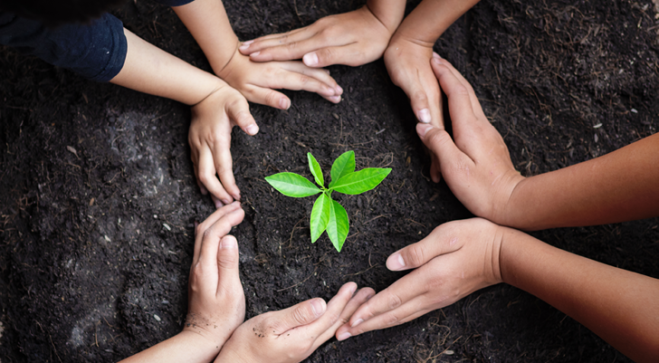 Hands nurturing a small plant symbolizing sustainability efforts at Bookmark Resorts
