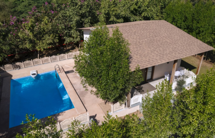 Aerial view of a backyard featuring a rectangular blue pool, a brown-roofed cottage with a covered patio and white outdoor furniture among green trees and hedges.