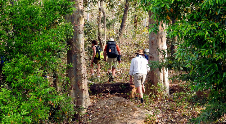 Three hikers with backpacks walking up a rocky forest trail among green trees.