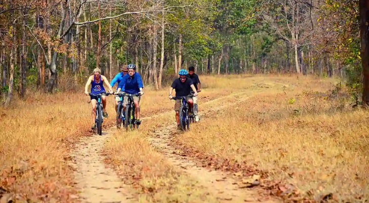 Four cyclists ride along a dirt trail through an autumn forest, wearing helmets and sporty gear.