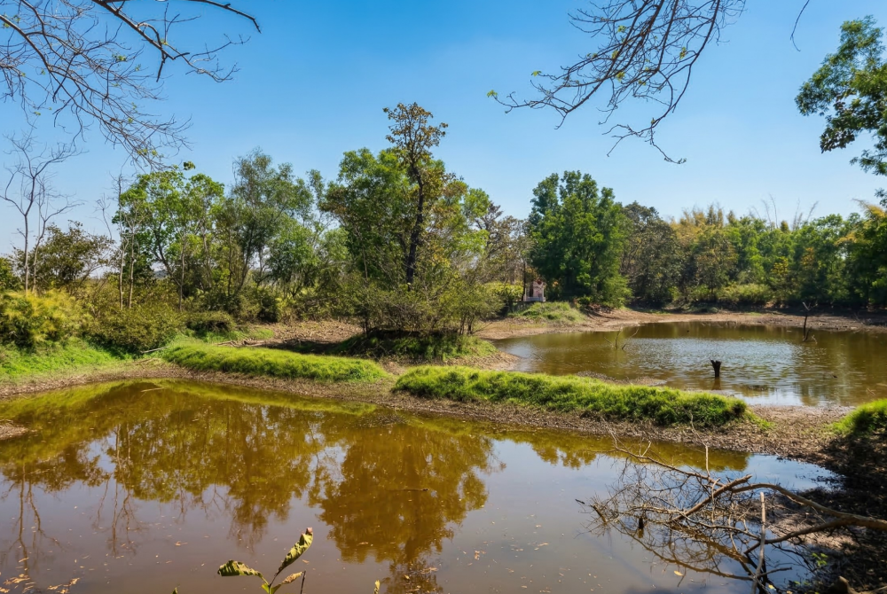 Tranquil riverside with shallow brown water pools, grassy banks, and trees under a clear blue sky, reflecting in the water.