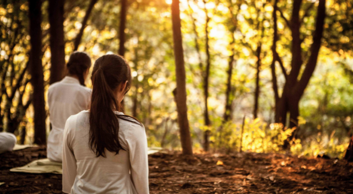 Two people sit on a blanket in a sunlit autumn forest, seen from behind as the light filters through trees.