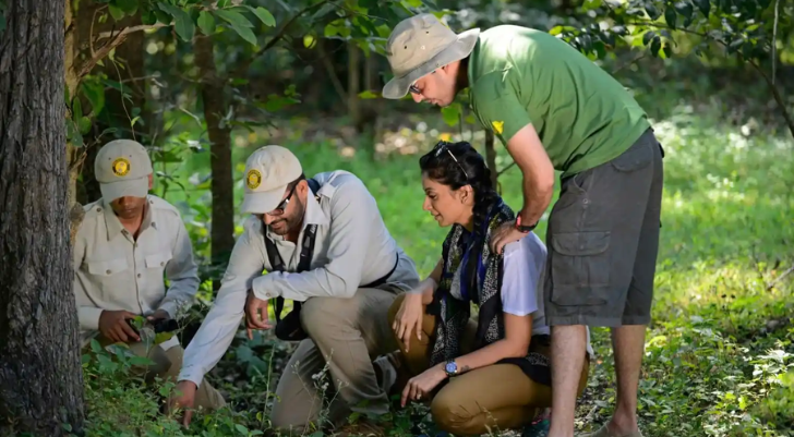 Four people in a forest crouch to examine something on the ground.