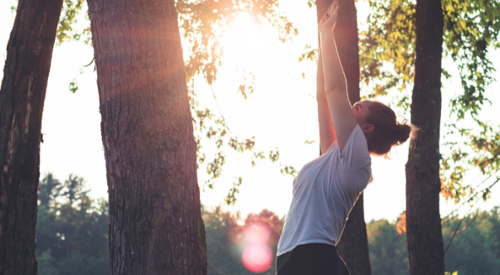 Person stretches upward between two trees in a sunlit forest clearing, practicing outdoor yoga or stretching.