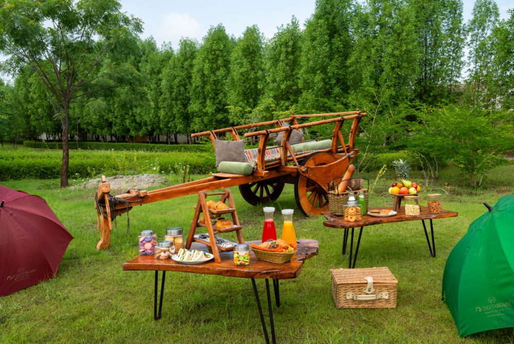 Rustic outdoor picnic setup in a park with a wooden cart, tables of snacks, drinks, and greenery.